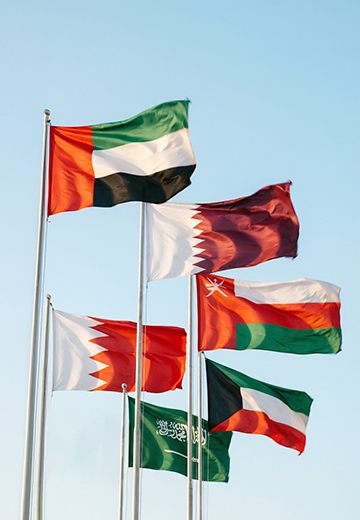 GCC Tax Update