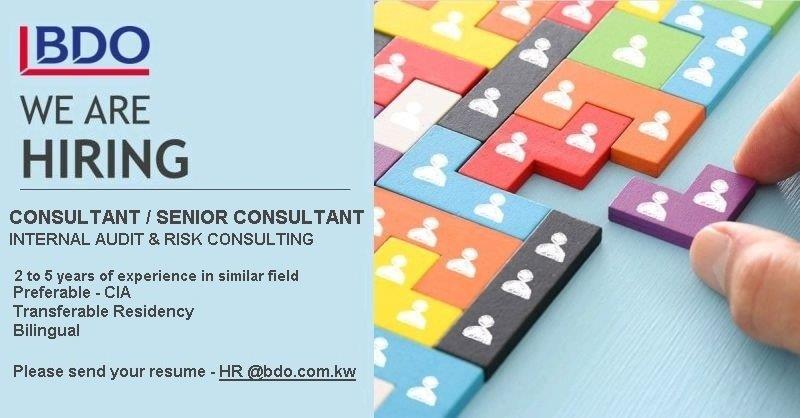 Consultant/ Senior Consultant -Internal Audit & Risk.